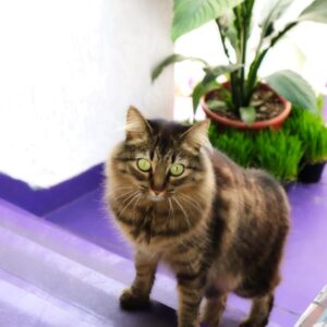 PHOTO-2025-09-24-18-02-39 2