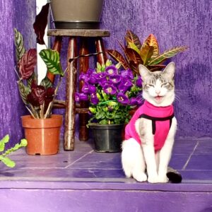 PHOTO-2025-09-24-18-02-39